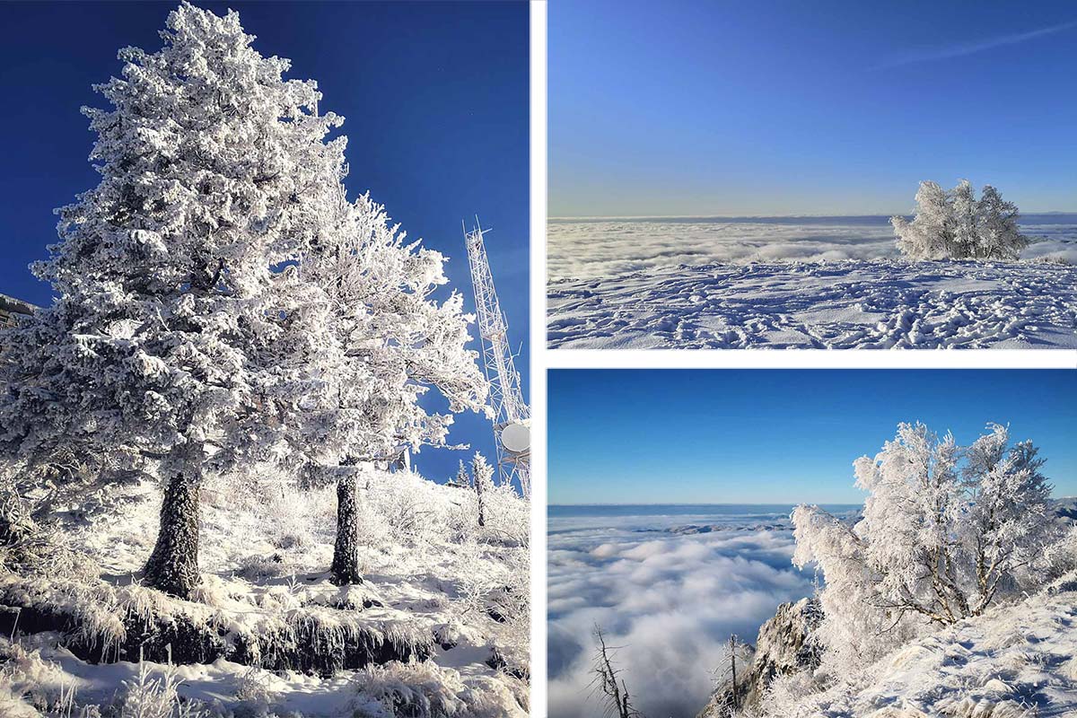 Beginning of winter in Cozia Iarnă National Park